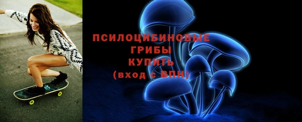 герыч Богородск