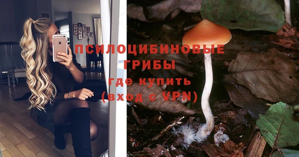 прущая мука Белокуриха