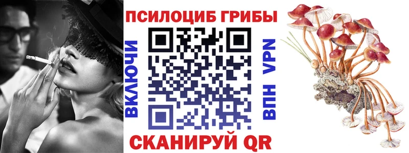 omg ссылка  Светлый  Псилоцибиновые грибы Magic Shrooms  наркошоп 